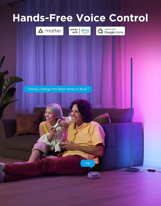 Govee RGBIC Floor Lamp Basic My Store