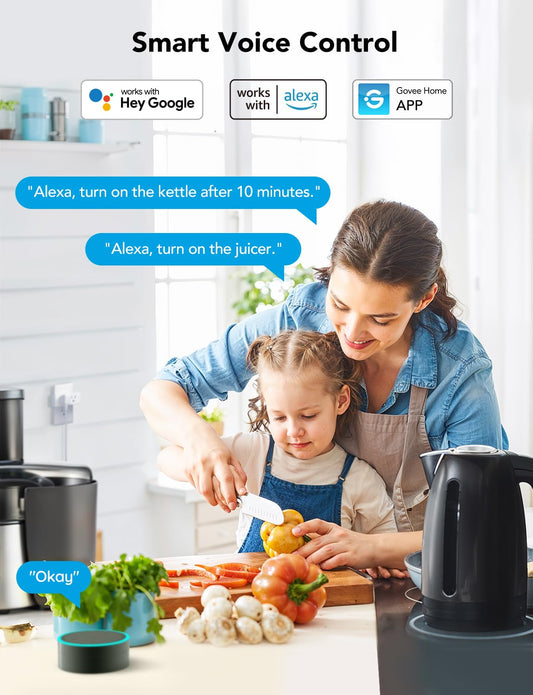 Govee Dual Smart Plug 2 Pack