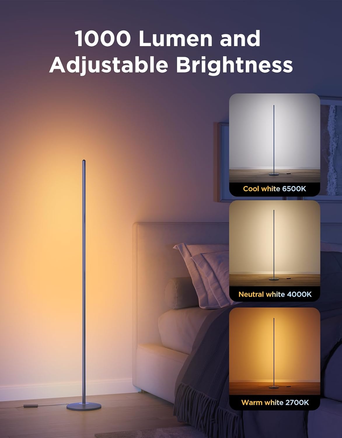 Govee RGBIC Floor Lamp Basic