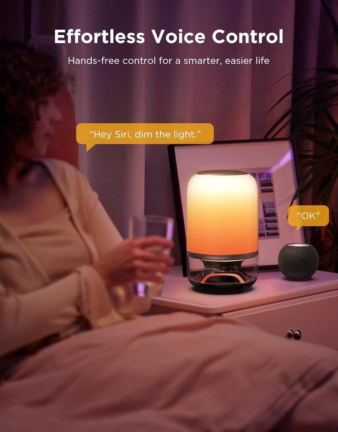 Govee Table Lamp 2 Pro