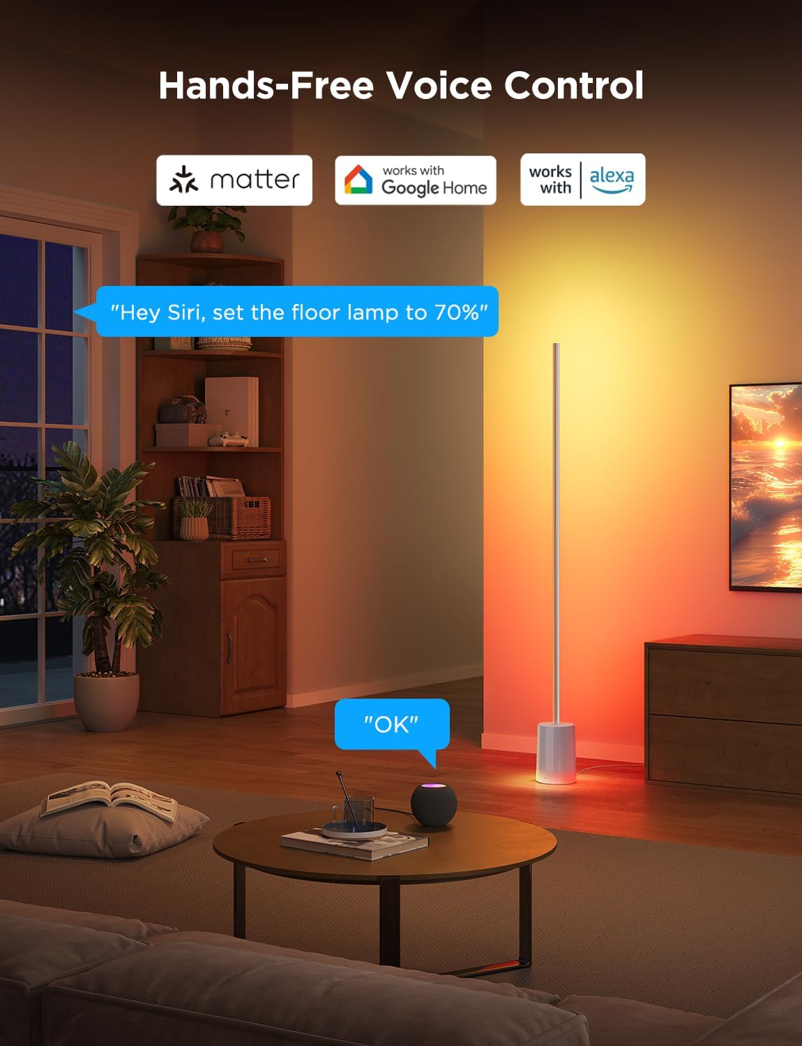 Govee Floor Lamp 2