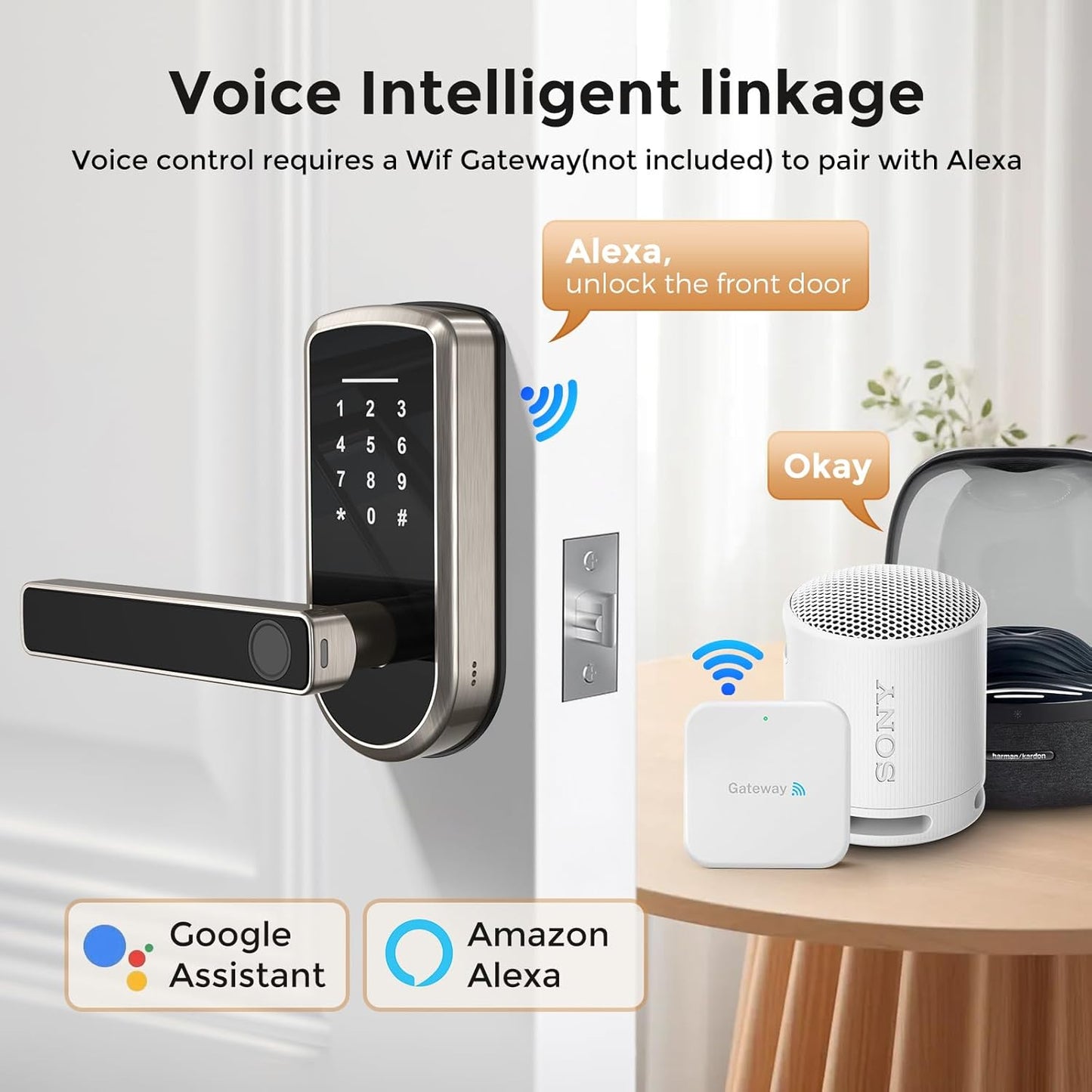 Keyless-Entry Fingerprint Smart Door Lock