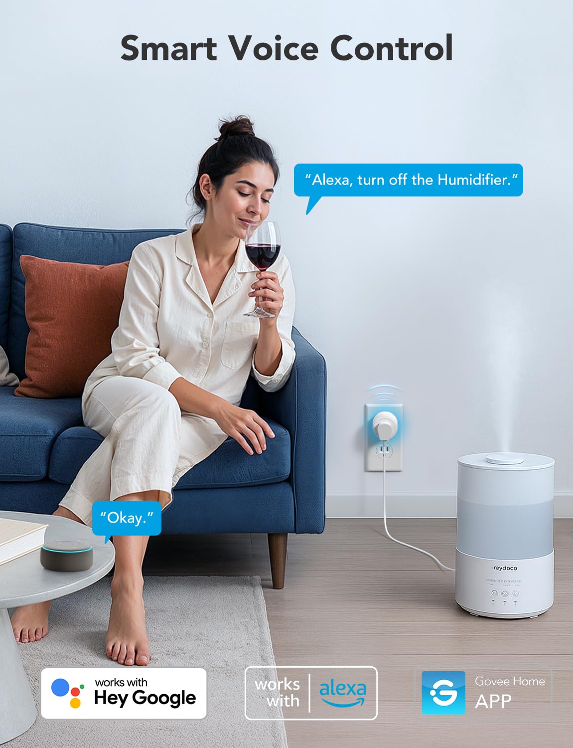 Govee Smart Plug
